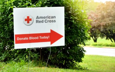 Help Save Lives at the Talladega Superspeedway Blood Drive